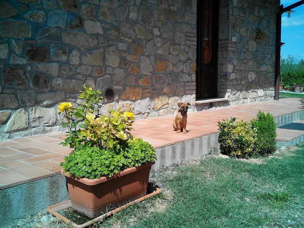 Farm stay Agriturismo Collomici Celle sul Rigo
