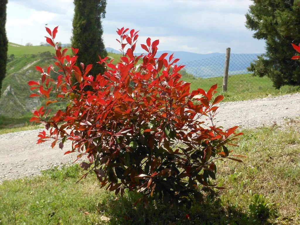 Agriturismo Collomici Celle sul Rigo Farm stay