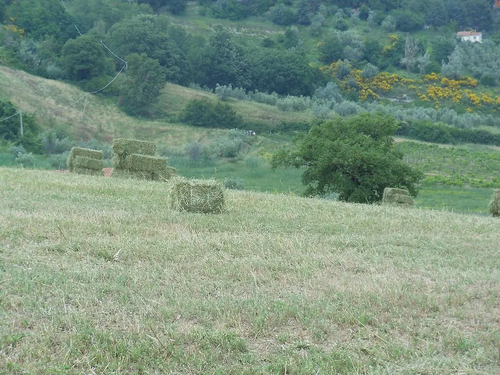 Agriturismo Collomici Celle sul Rigo