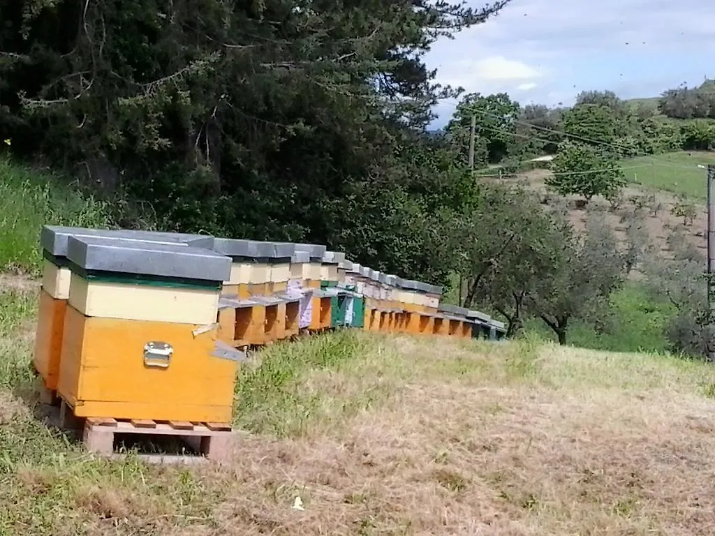 Séjour à la ferme Villa Agriturismo Collomici à San Casciano dei Bagni