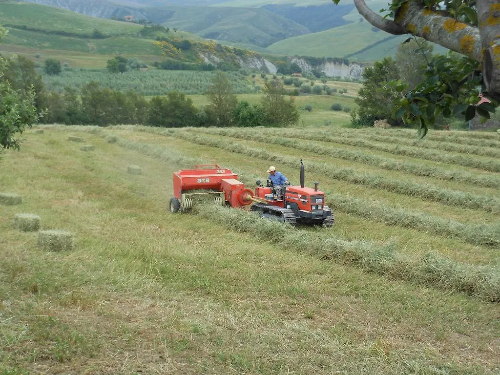 Farm stay Agriturismo Collomici Celle sul Rigo
