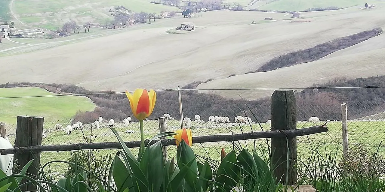 Agriturismo Collomici Celle sul Rigo 0*,  Italy