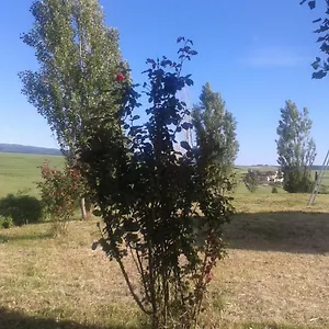 I Greppioli Podere del Pozzo